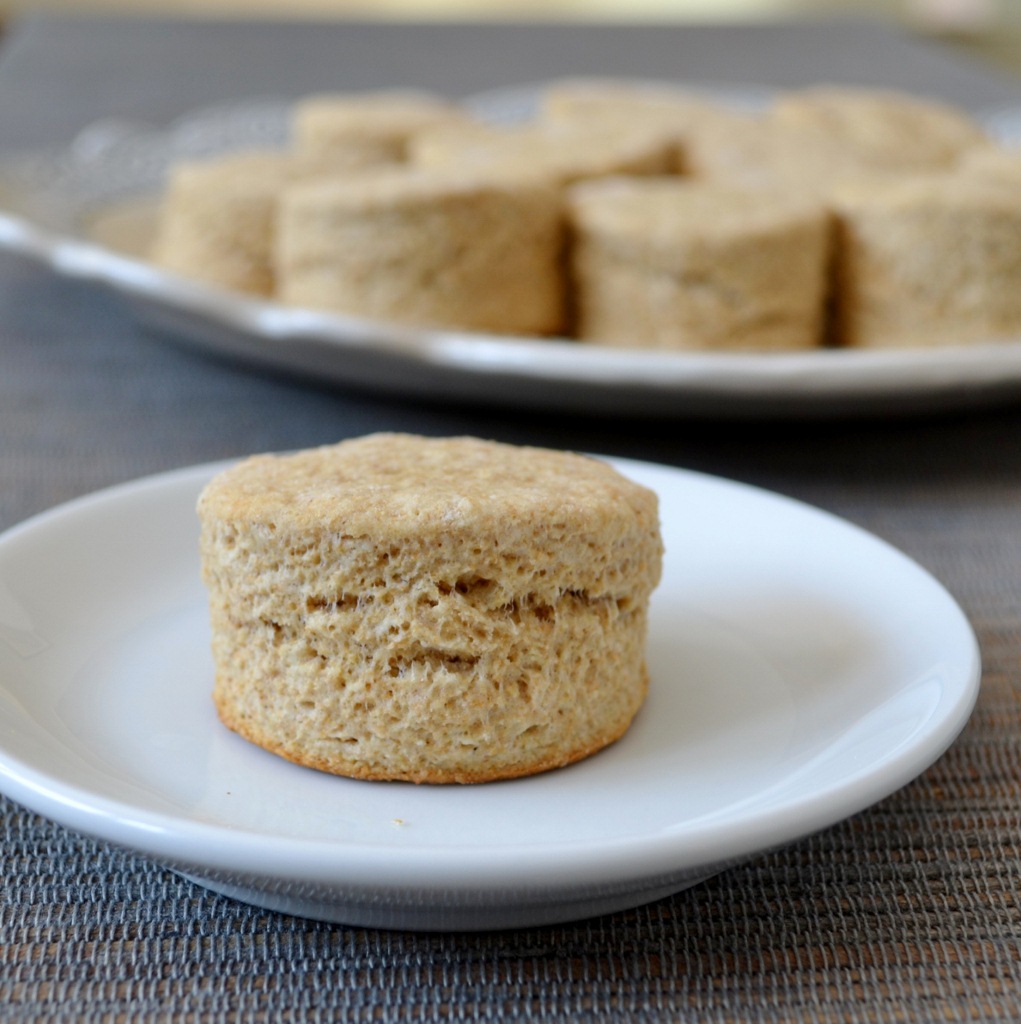 whole wheat biscuit whole wheat biscuit