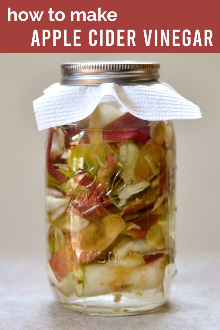 Homemade Apple Cider Vinegar - Real Food Real Deals
